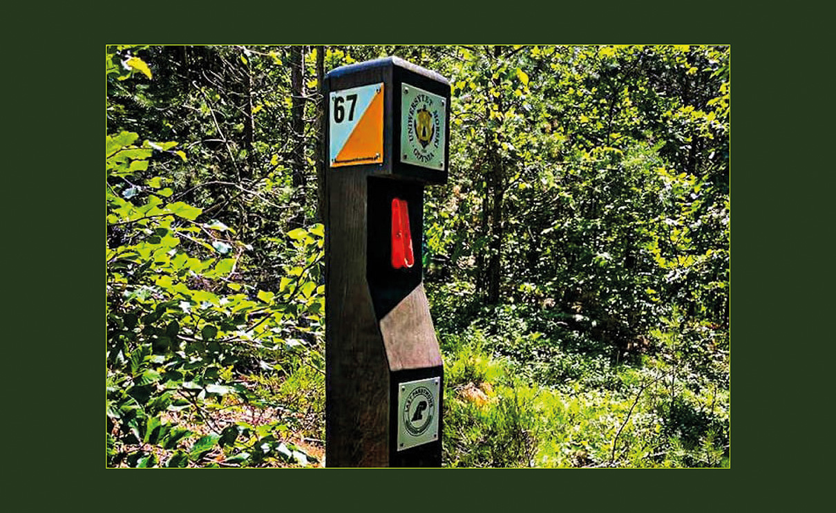 Otwieramy \"Zielony Punkt Kontrolny &ndash; Uniwersytet Morski w Gdyni\"