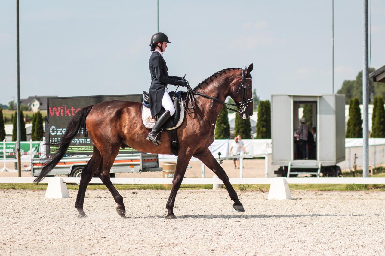 fot. Justyna Bambynek