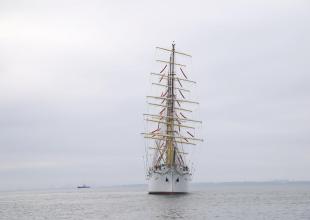 Dar Młodzieży wpływający do portu w Gdyni w dniu 14.09.2025