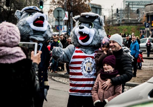 Wilki morskie, fot. Kamil Dopke