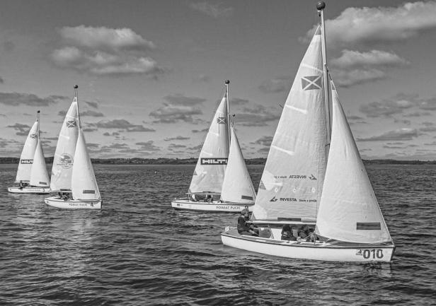 fot. Piotr Lewandowski