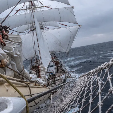 Żagle Daru Młodzieży